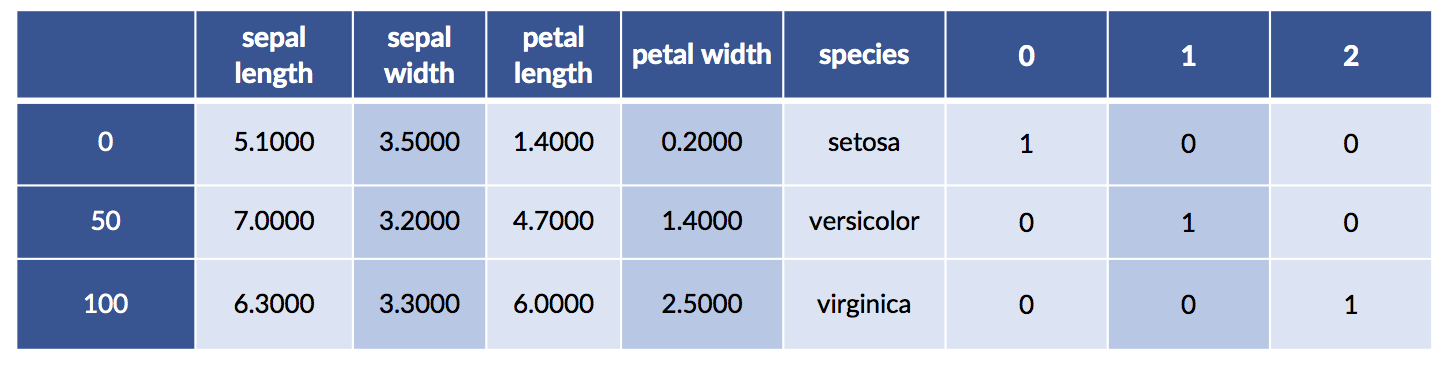 merged pandas DataFrame of data points in iris dataset