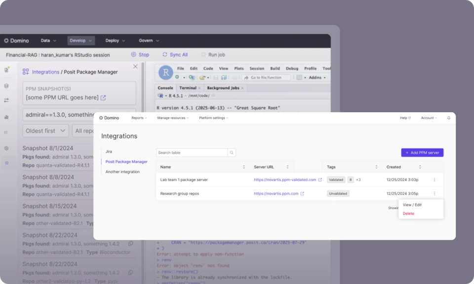 Posit Package Manager integration