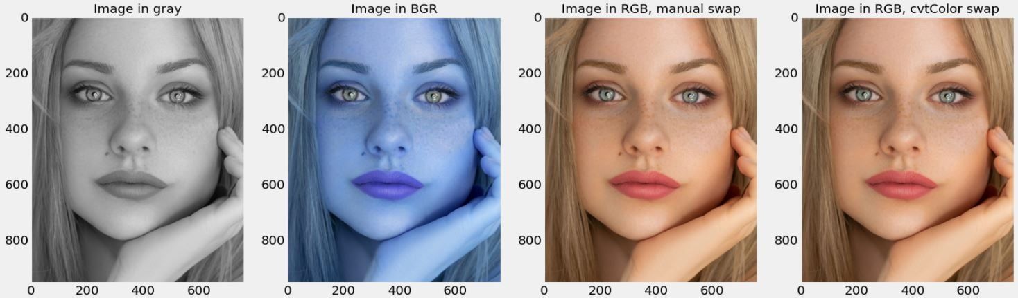 Image read in using OpenCV