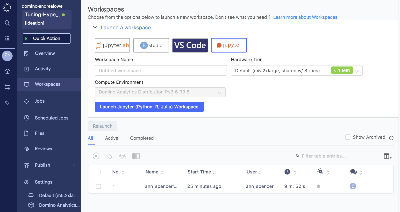 Workspace in Domino Data Lab for Hyperparameters
