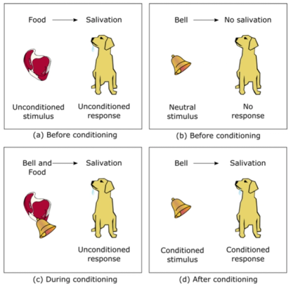 Reinforcement Learning Introduction: Foundations and Use-Cases