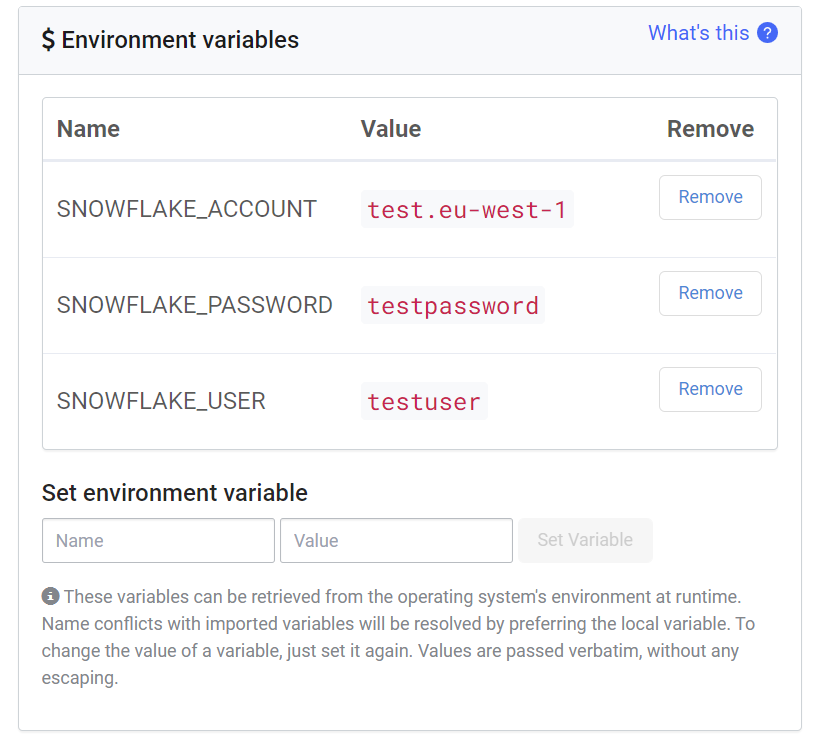 Setting environmental variables in Snowflake and Domino Data Lab