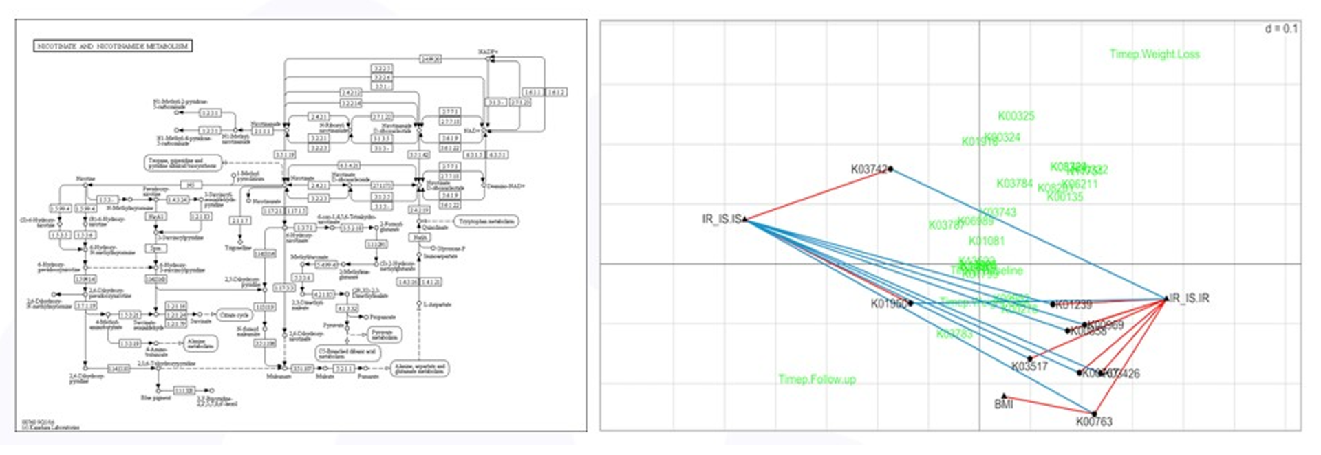 RLQ analysis of nicotinate pathway