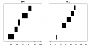 Genome visual examples after disjoin