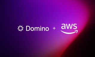 AWS + Domino