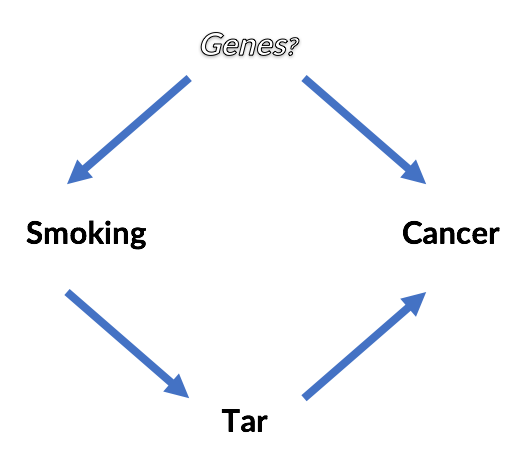 Cycle of smoking and cancer correlations to genetic factors and tar