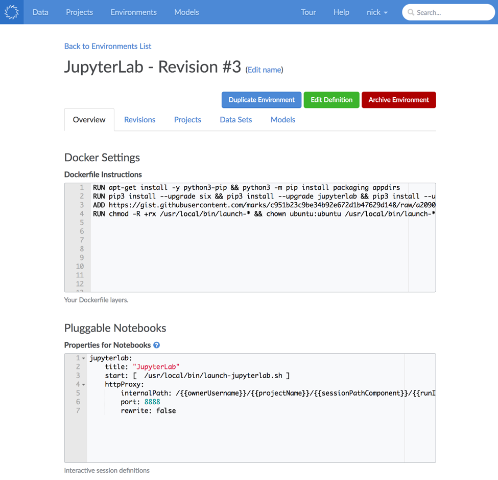 Revisions of Jupyter notebook in Domino