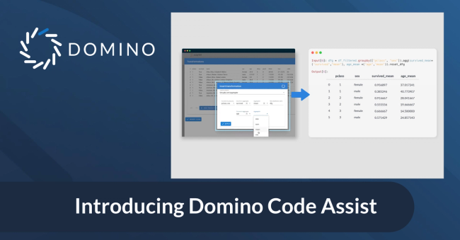 Domino Code Assist