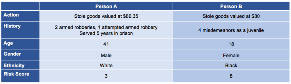 comparison example of two people arrested for petty theft with a gender attribution, ethnicity, and risk score