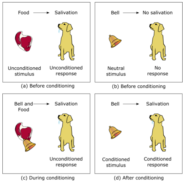 classical conditioning in reinforcement learning