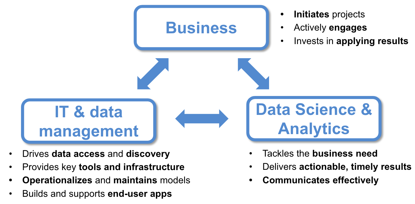 Data Science, IT, and Business roles and responsibilities in a data science project.