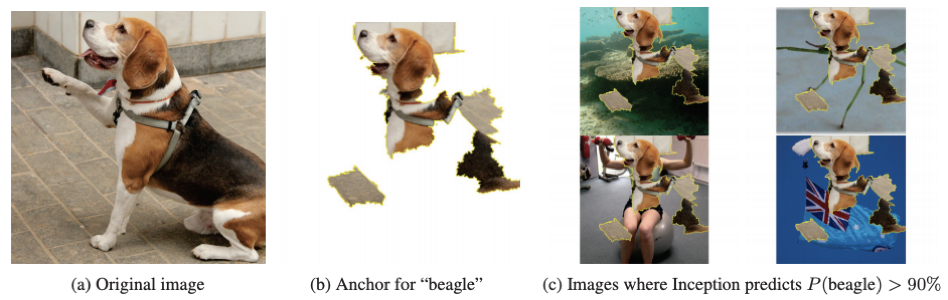 A deep neural network understanding an image of a dog