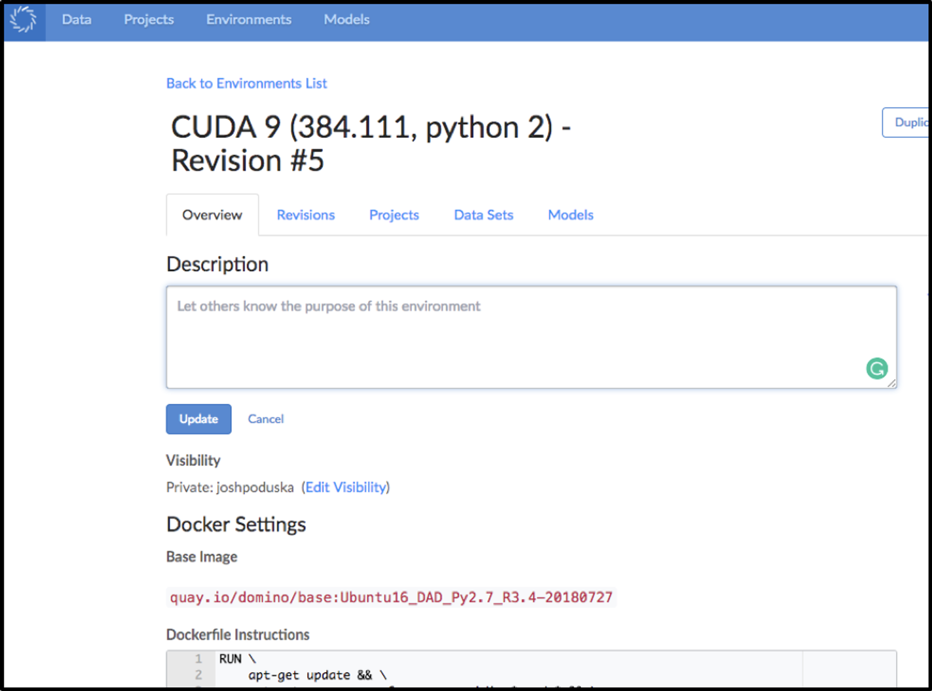 Building the Compute Environment in Domino