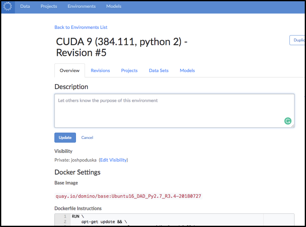 Building the Compute Environment in Domino