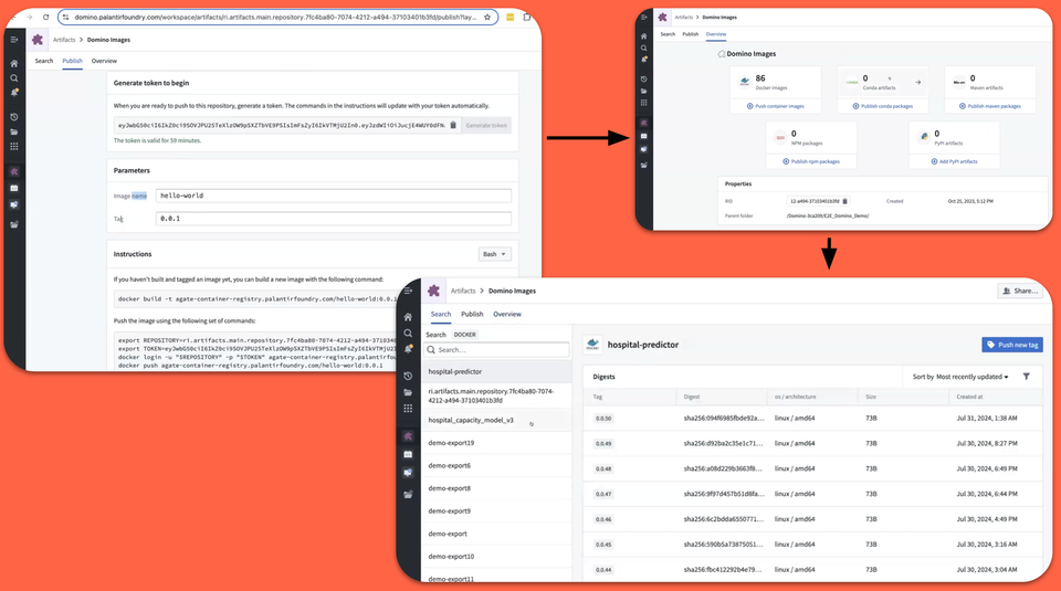 Deploy from Domino to Palantir Foundry