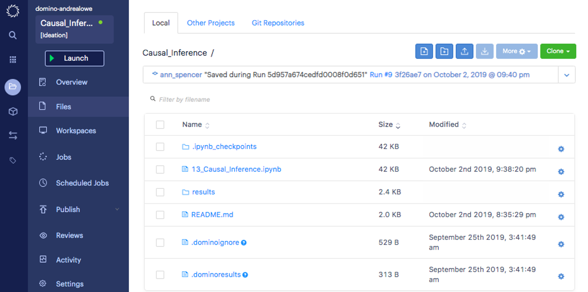 Domino Data Lab Enterprise MLOPs casual inference project