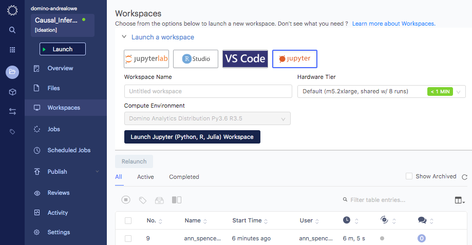 Domino Data Lab Enterprise MLOPs workspace