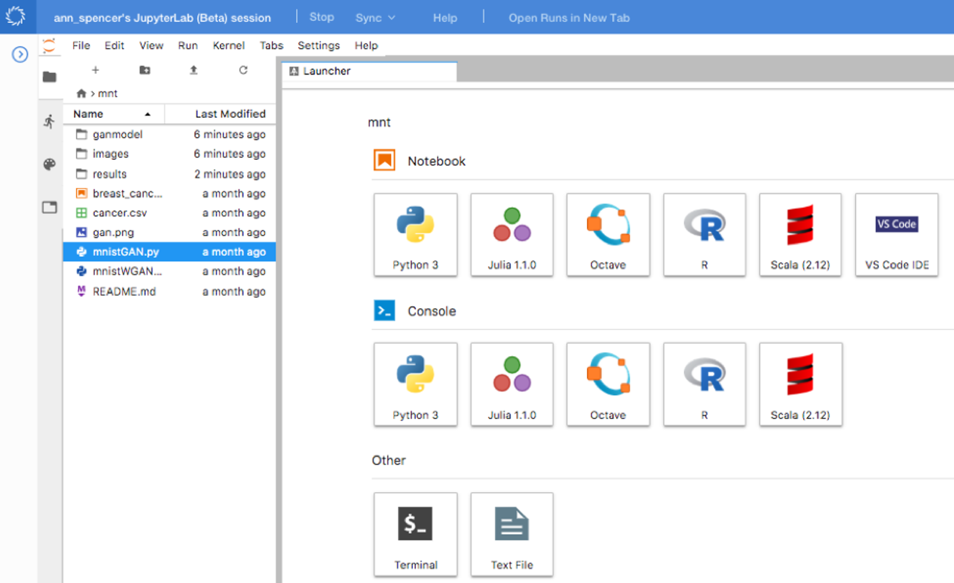 JupyterLab space in Domino