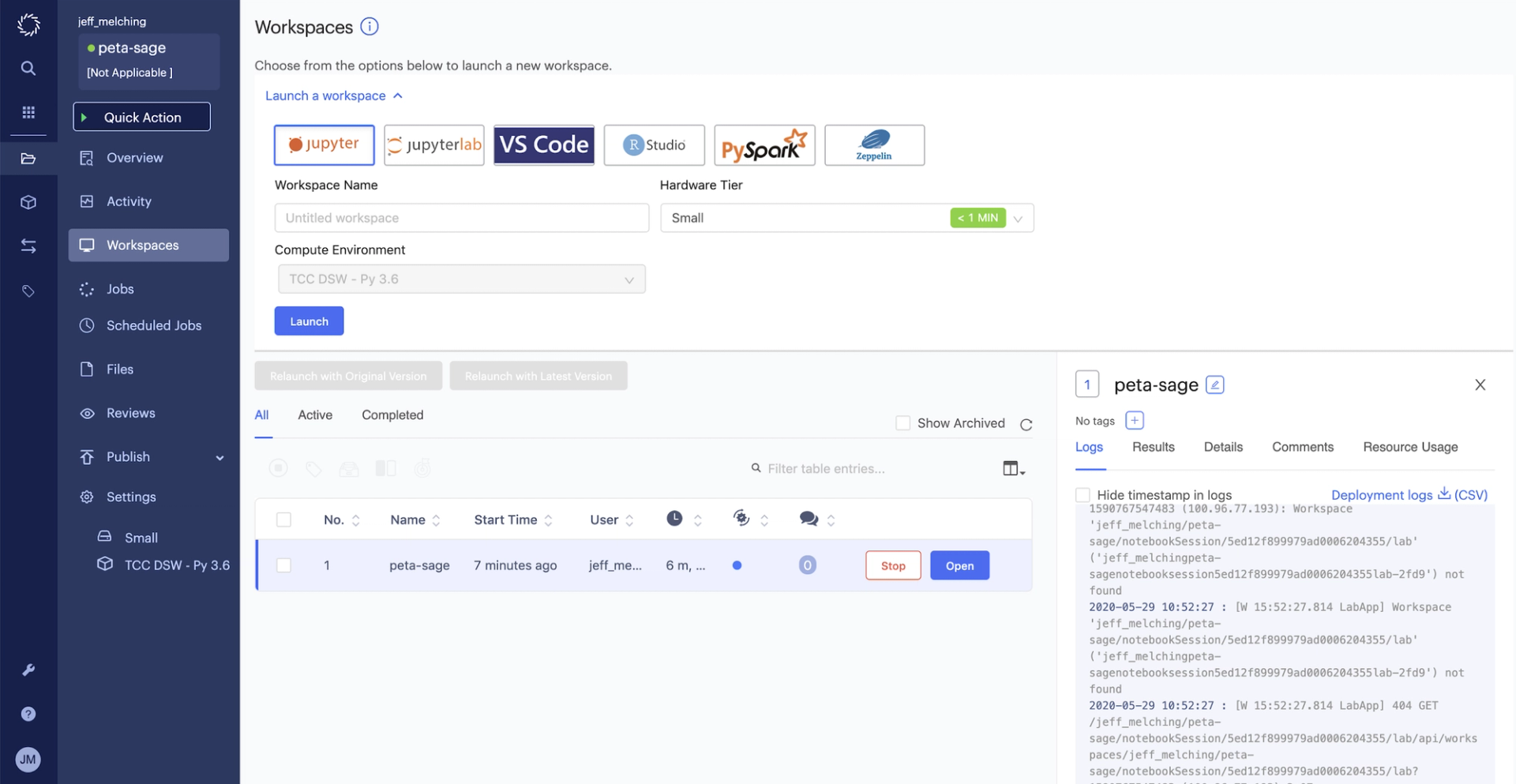 Domino Data Lab Enterprise MLOPs workspace