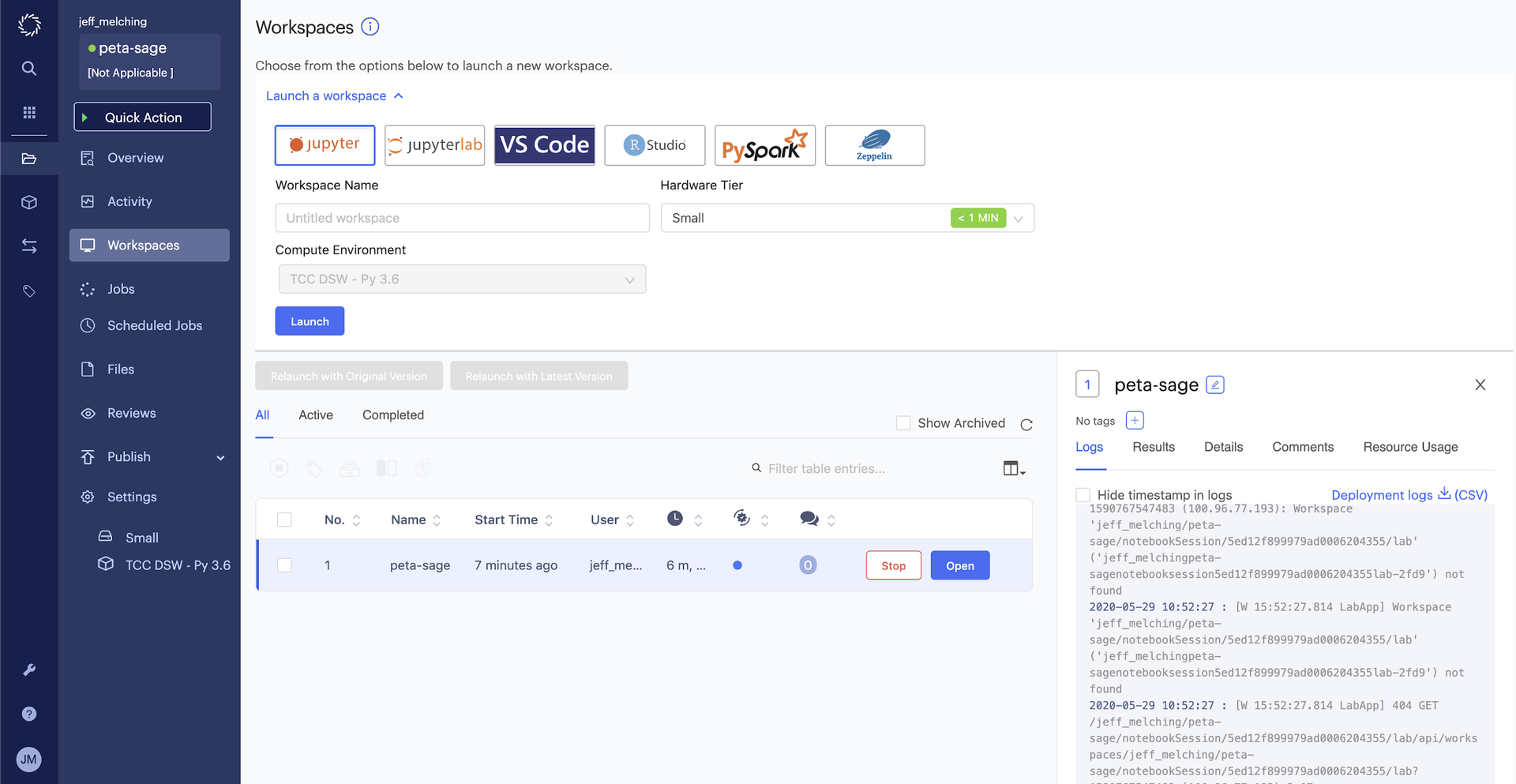 Domino Data Lab Enterprise MLOPs workspace