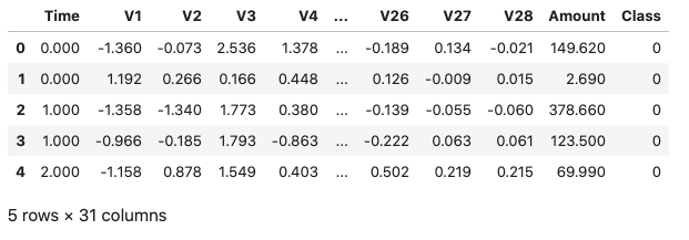 Sample of the fraud data set. Output of pandas.head()