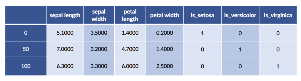 pandas DataFrame of data points in iris dataset
