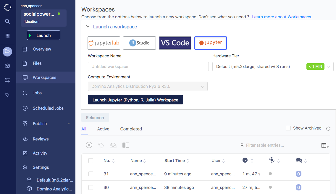 Domino Data Lab Enterprise MLOPs workspace