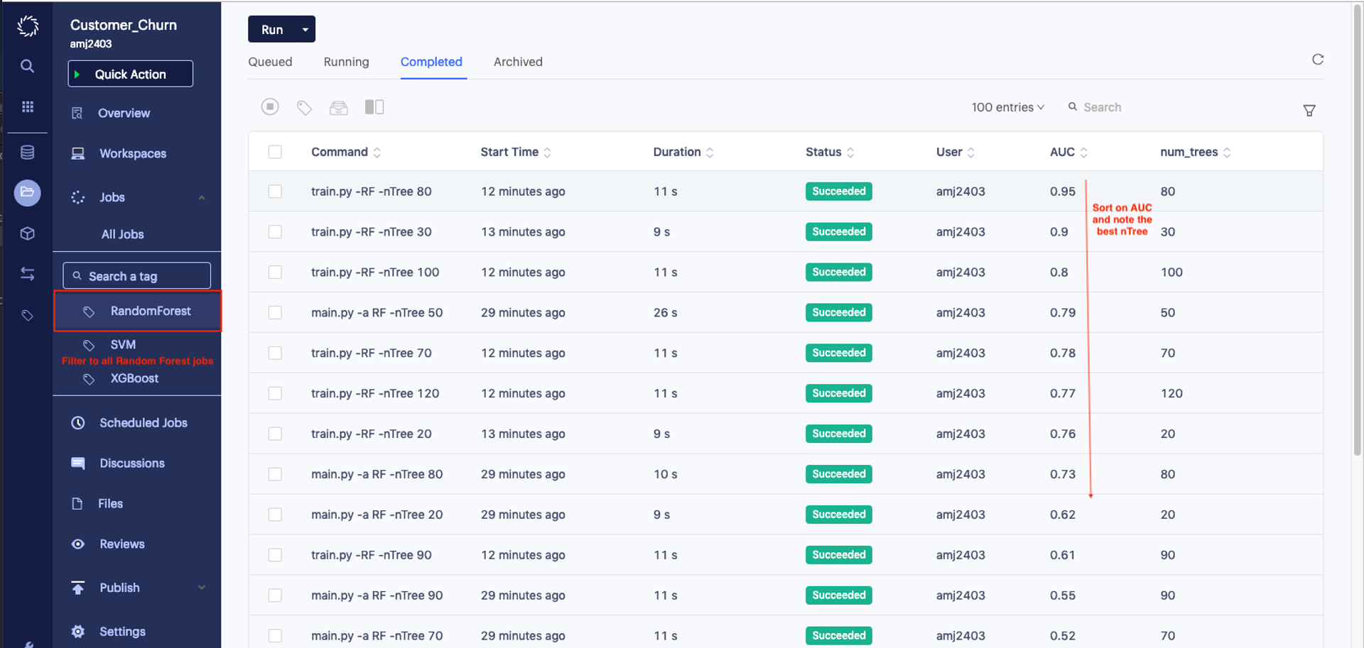 Searching for tag in Domino Data Lab experiment manager