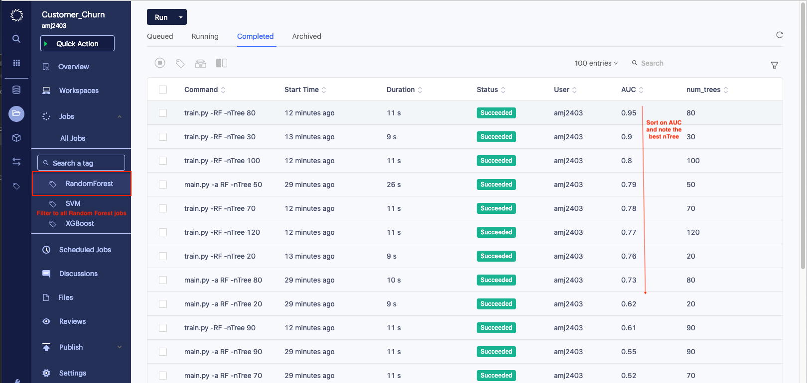 Searching for tag in Domino Data Lab experiment manager