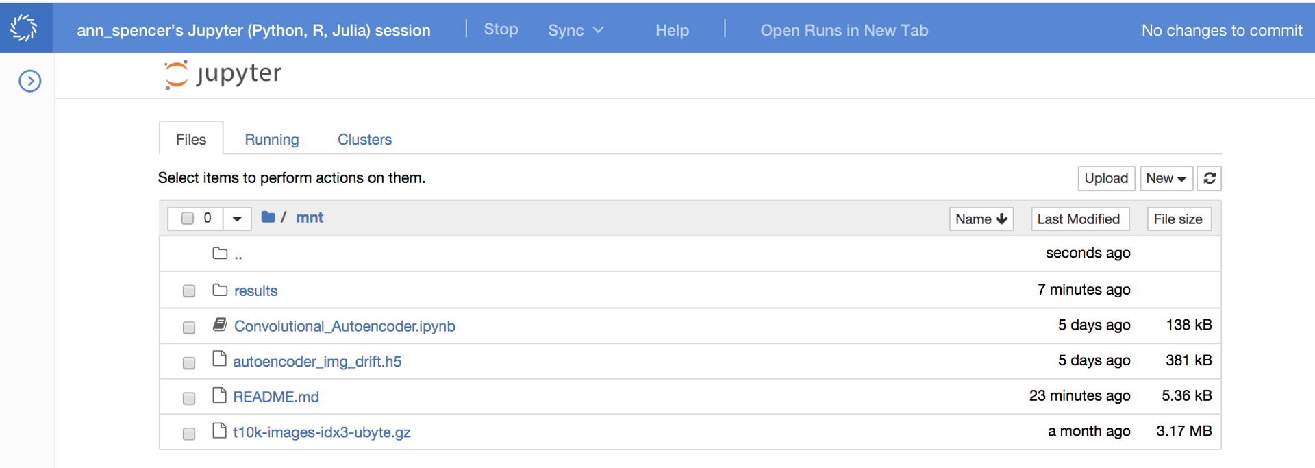 Notebook in Domino Data Lab
