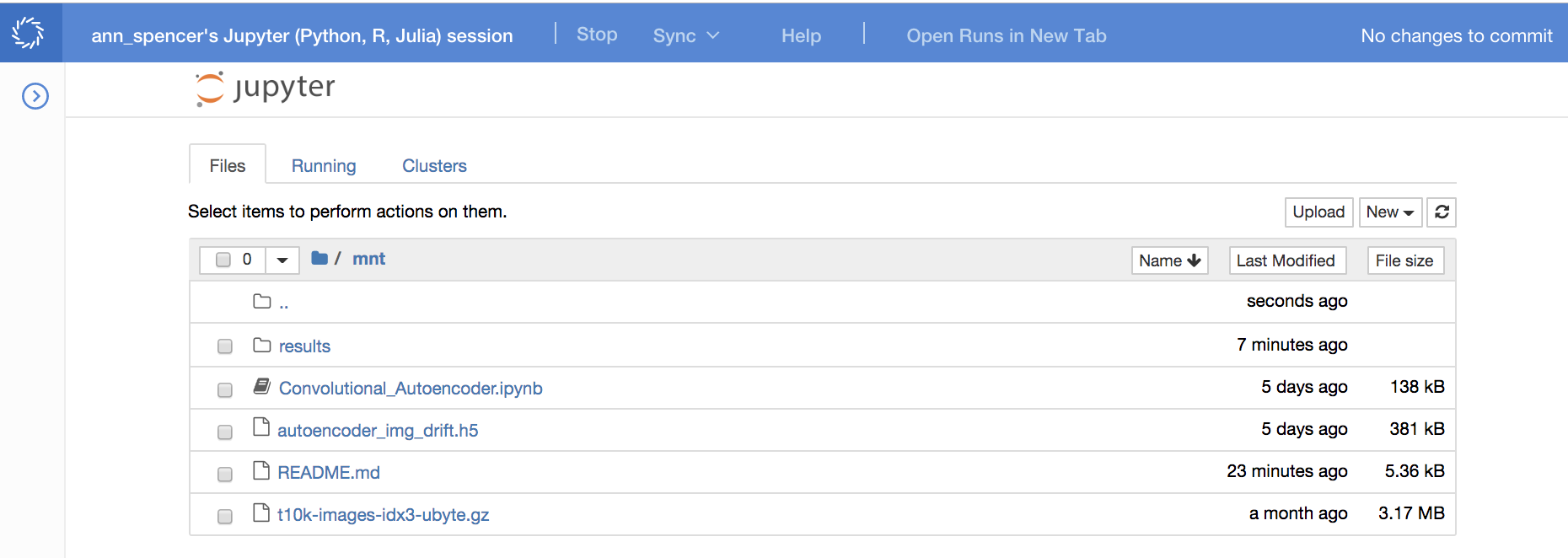 Notebook in Domino Data Lab