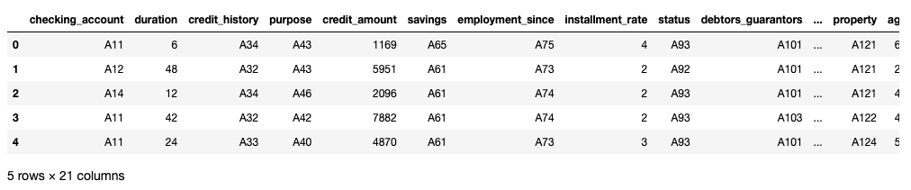 first 5 rows from the german.data dataset