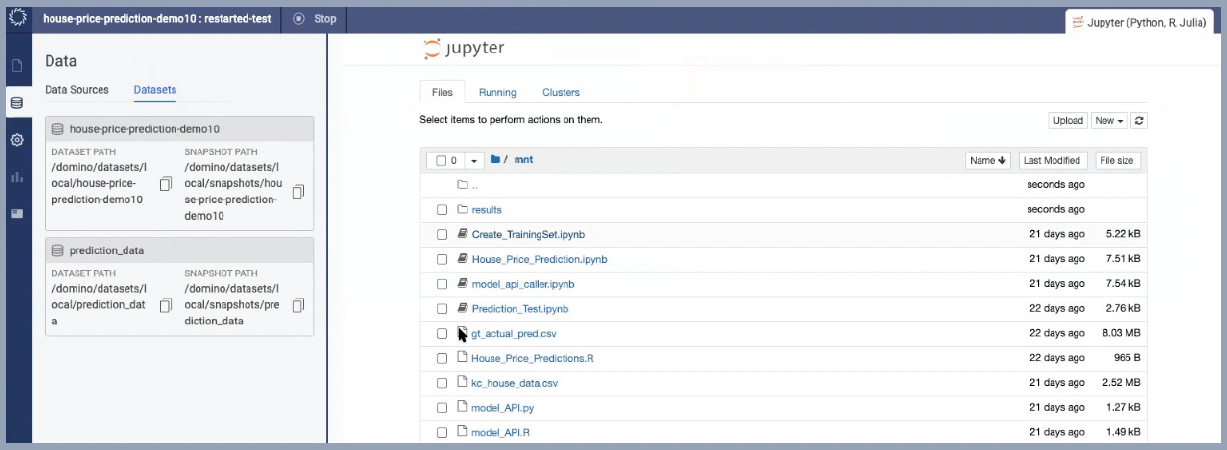 Reconstituted development environment with data