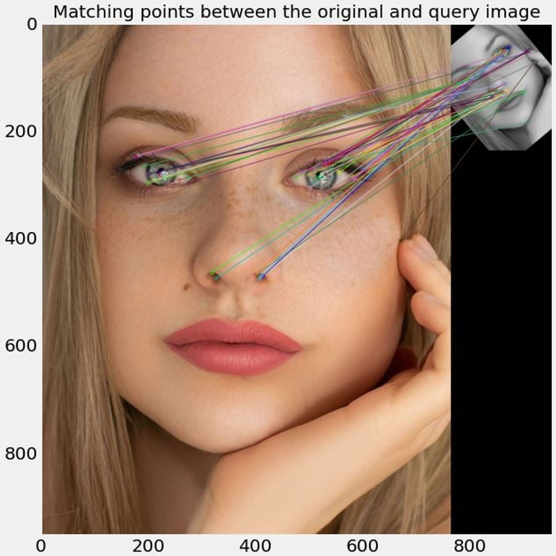 Matching of keypoints detected in the original (main) and query (top) images.