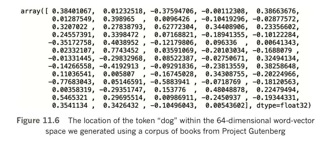 The location of the token "dog" in a word-vector