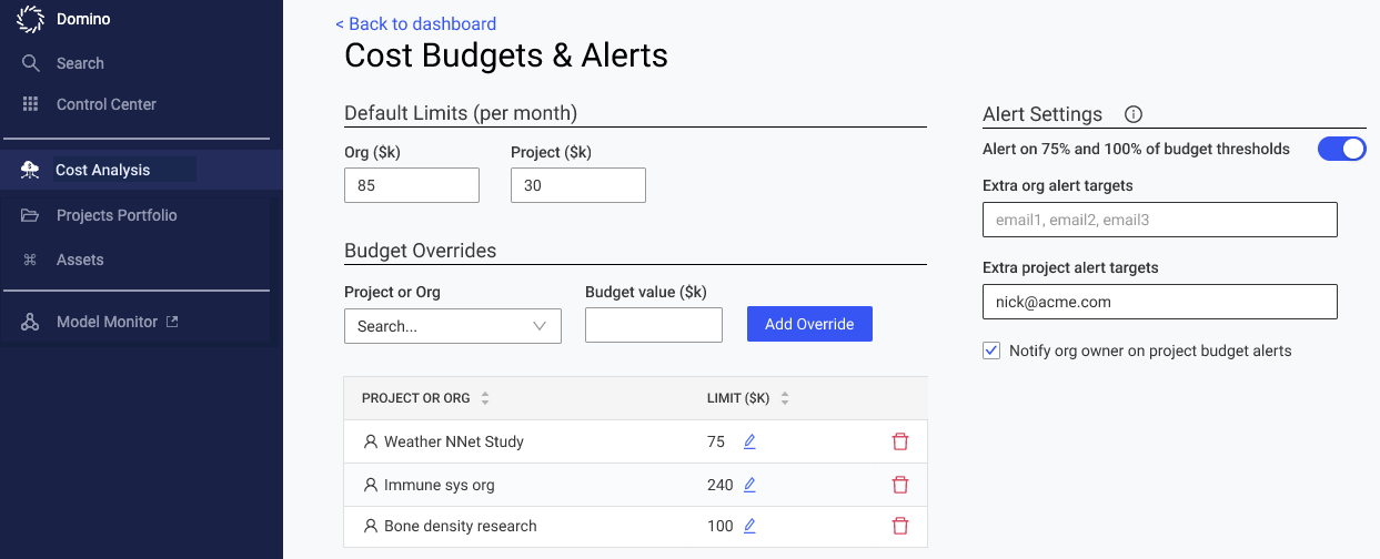 Domino AI Budget Alert