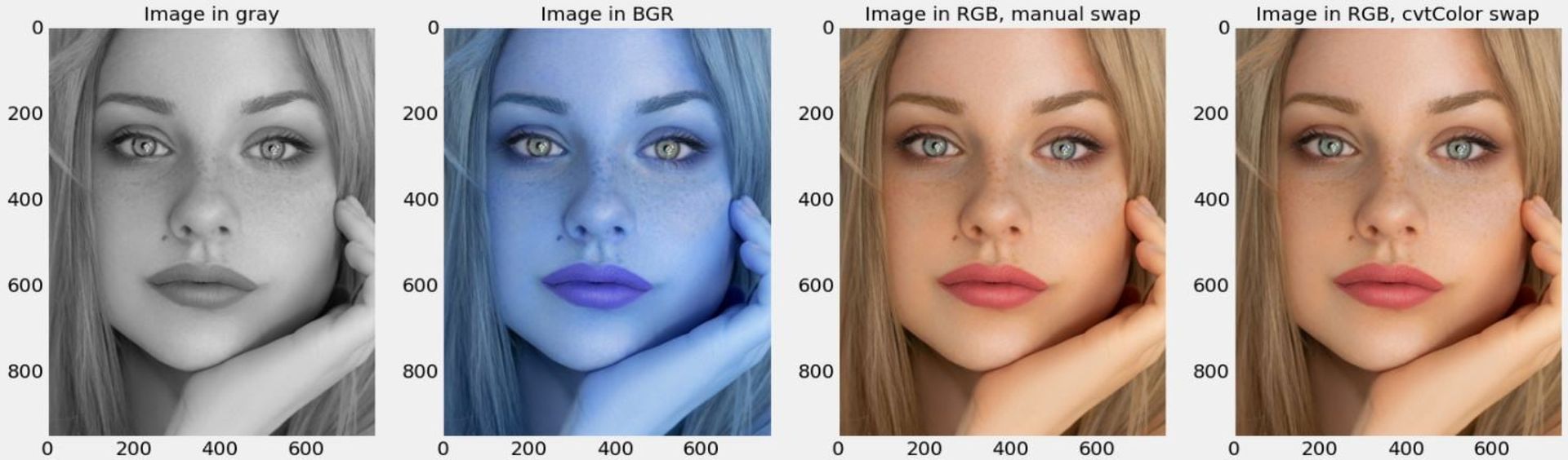 Image read in using OpenCV