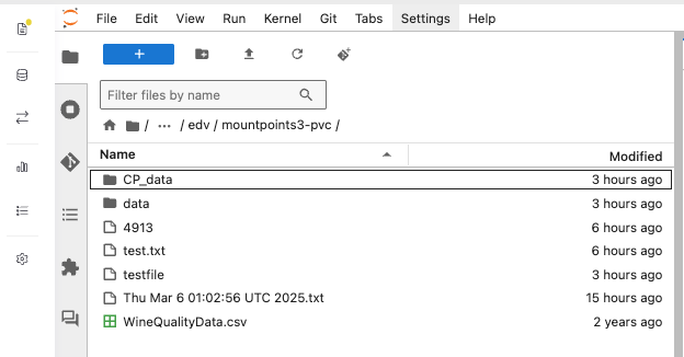 Domino workspace EDV
