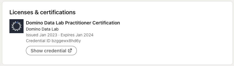 Domino University LinkedIn