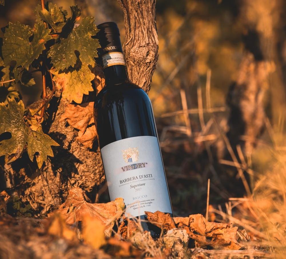 Vino Piemonte nettside og vinprofil