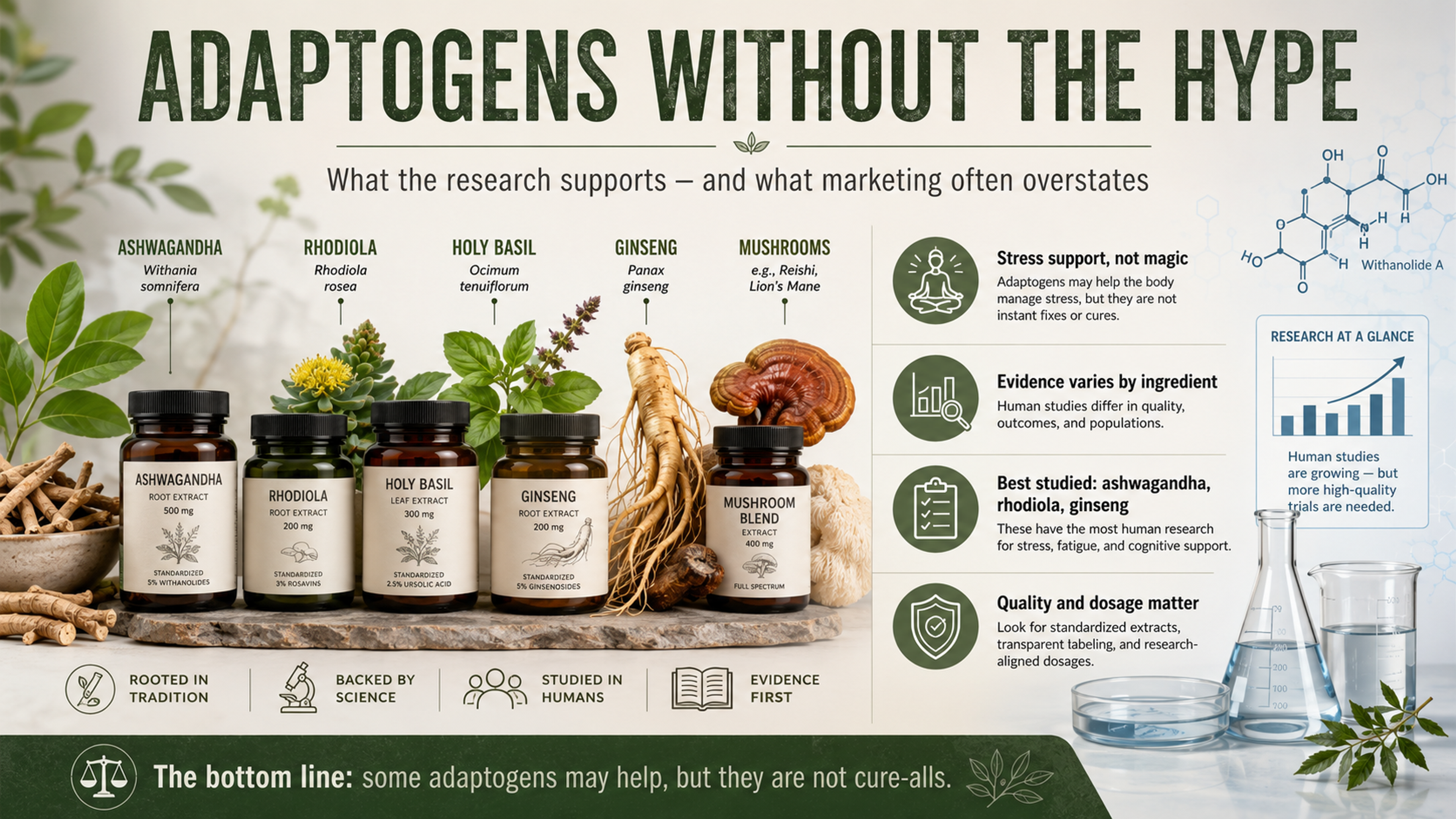 Adaptogens without the hype