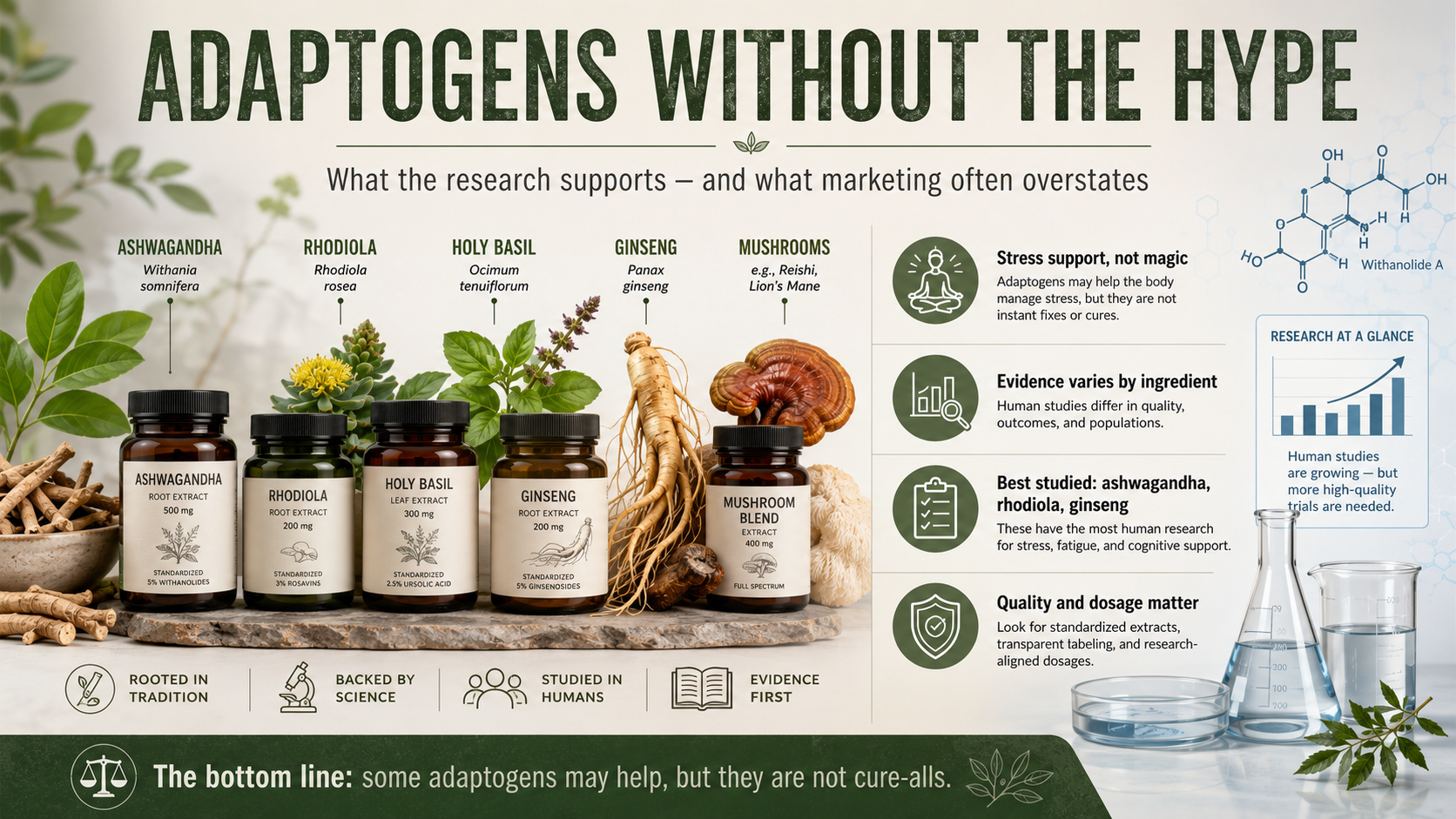 Adaptogens without the hype