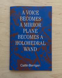 A voice becomes a mirror plane becomes a holohedral wand