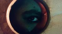 The Eleusinian Projector: Ron Athey’s Post-Porn Mythologies, Memorials, And The Launch Of T.s/Z
