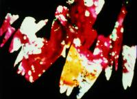 Storm De Hirsch, Divinations, (1964)
