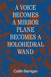 Talk and Publication Launch: Patricia Reed And Autograph
