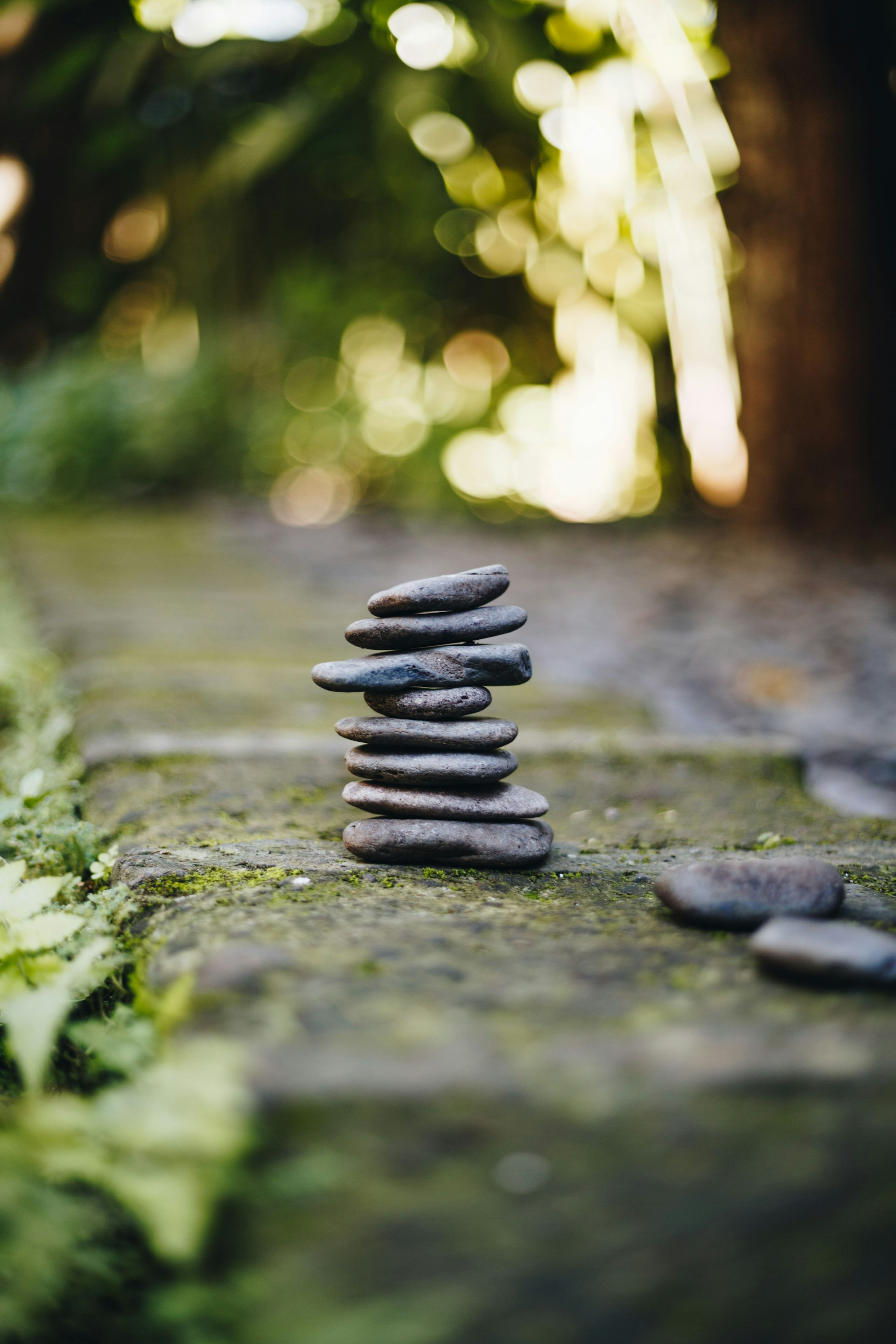 Smooth grey stones stacked on a mossy stone path