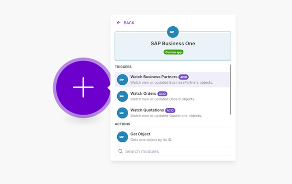 SAP Business One screenshot 1