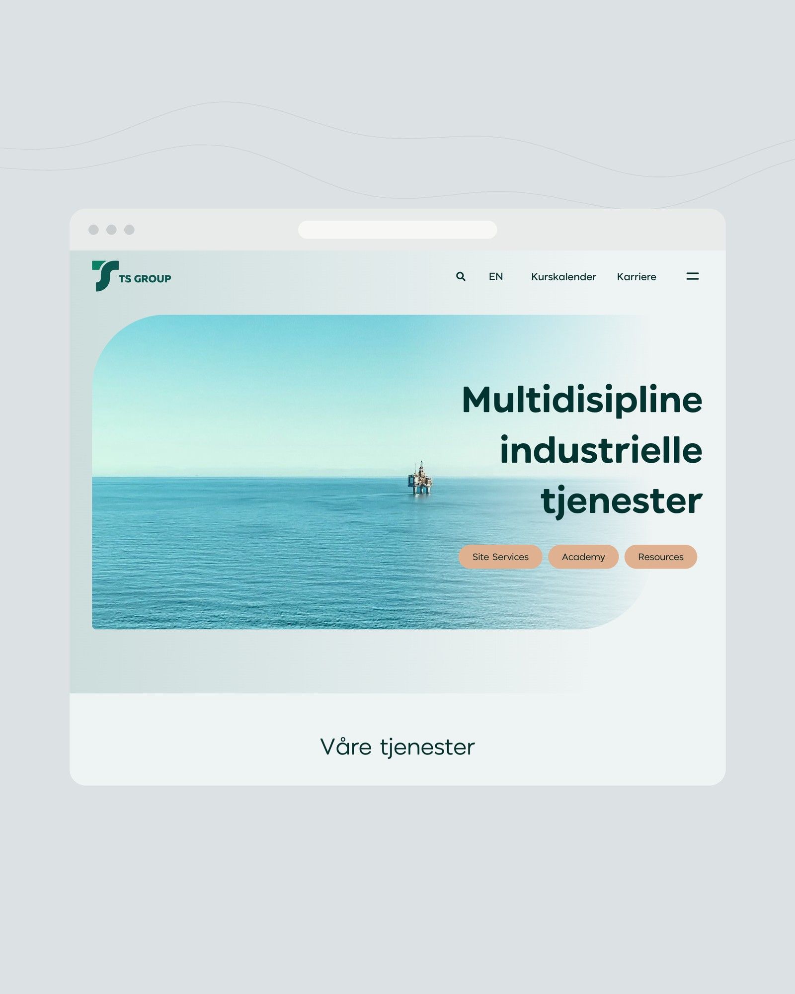 Nettsidene til TS Group i et nettleservindu.