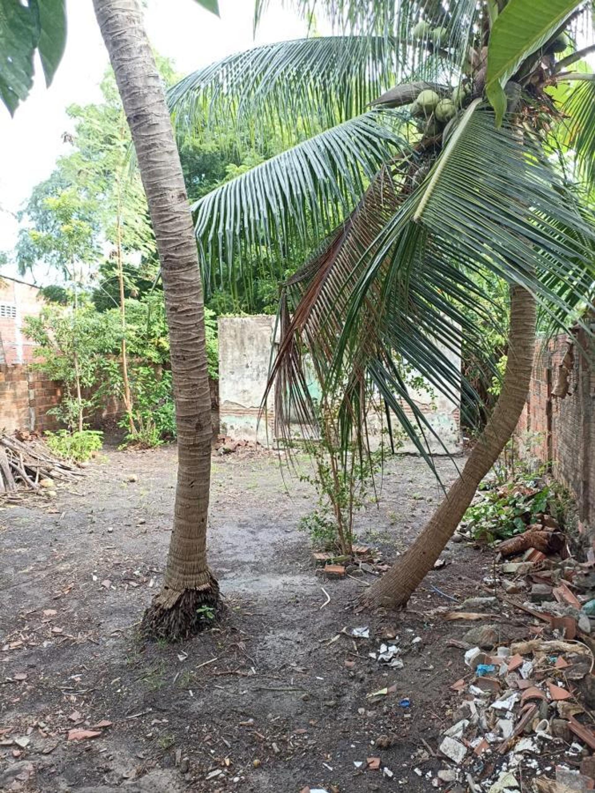 Casa Comercial para Venda, em Fortaleza, bairro Itapery - foto 7